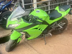 Kawasaki Ninja 300 2013 Green