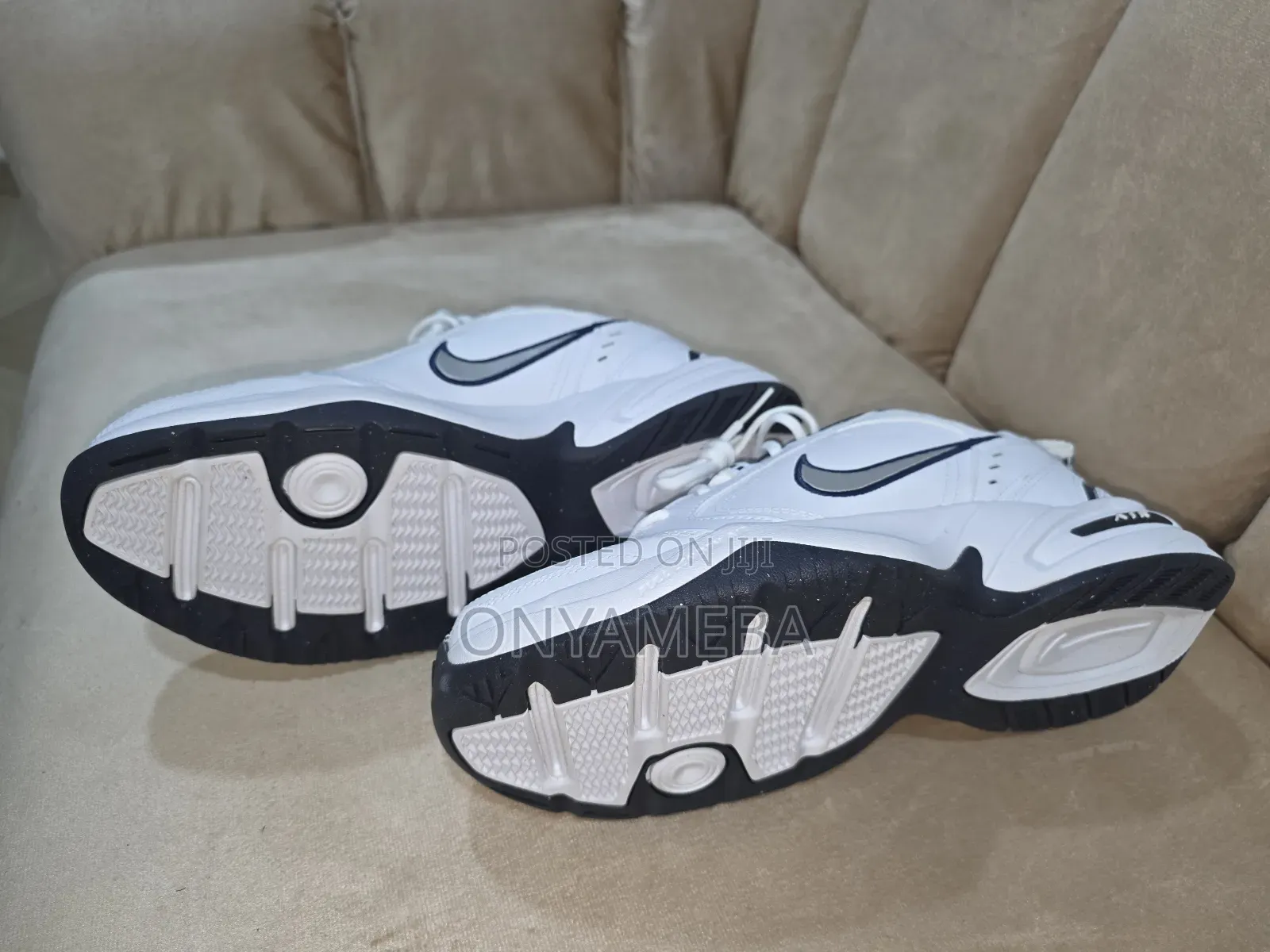 Air Monarch
