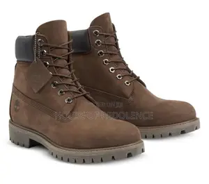 Timberland Premium 6-Inch Waterproof Boots Brown