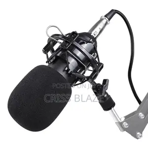 Bm800 Condenser Microphone
