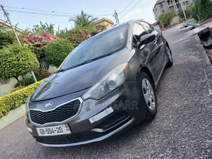 Kia Forte 2013 Gray