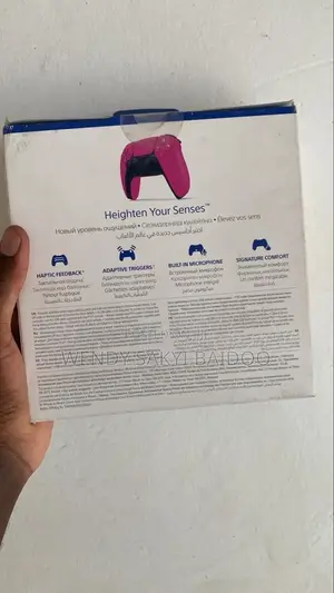 Ps5 Gamepad
