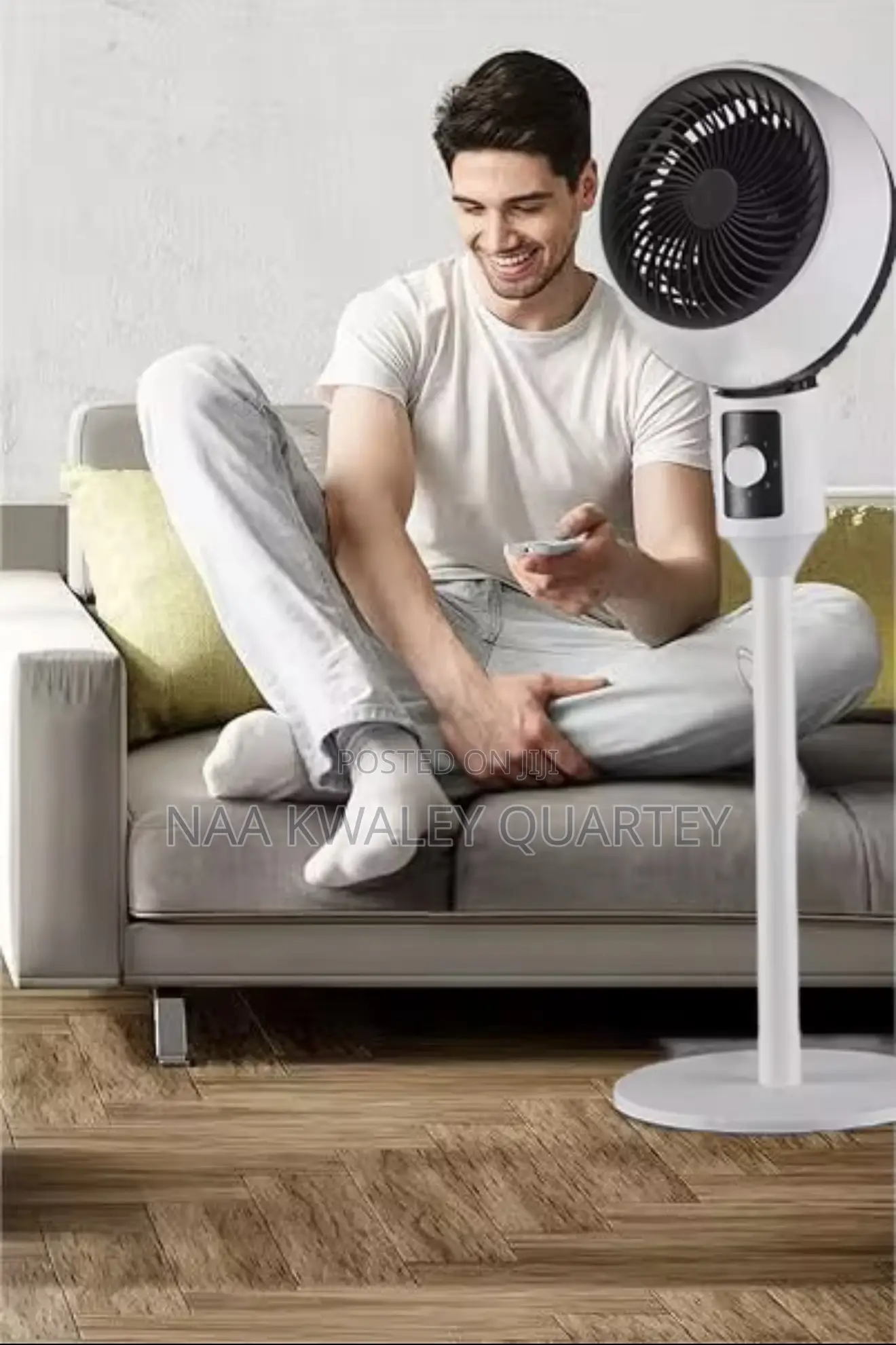 Pedestal Fan