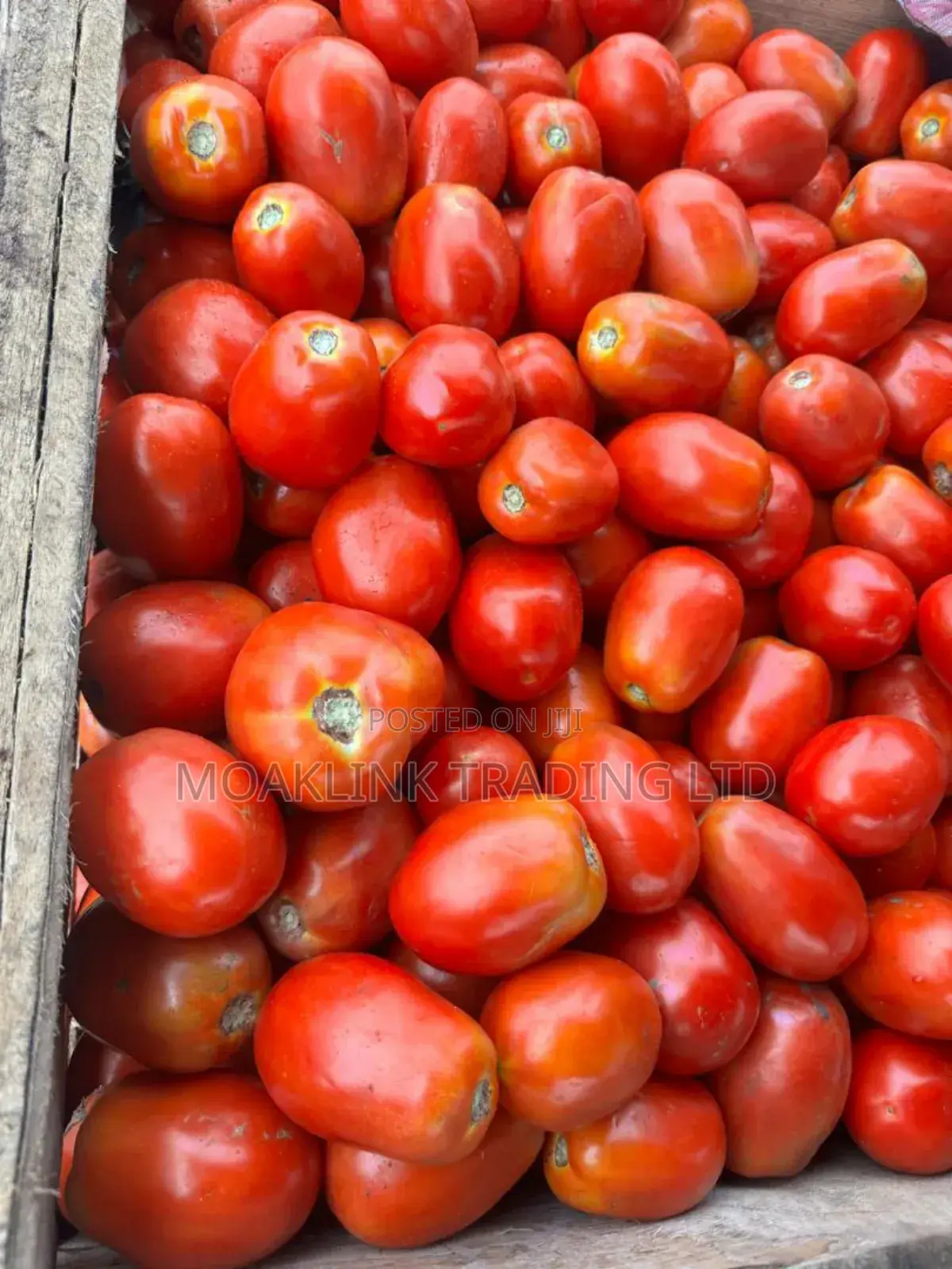 Fresh Tomato