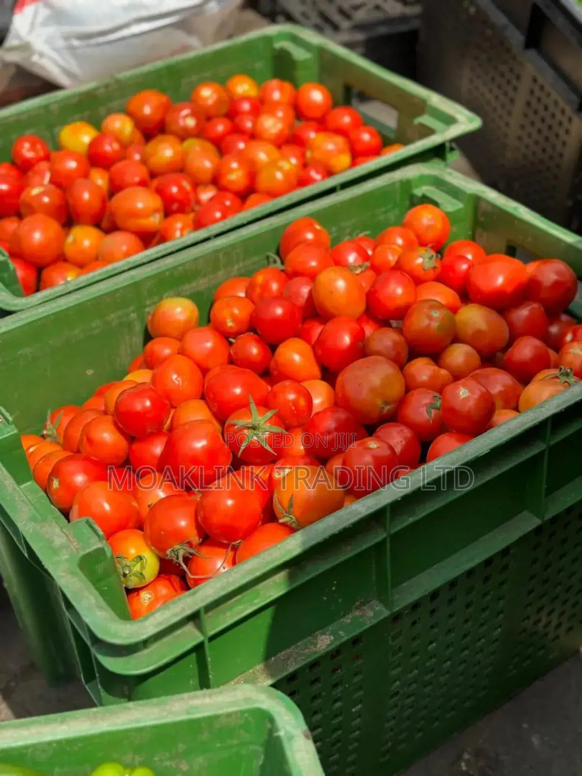 Fresh Tomato