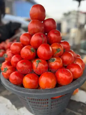 Fresh Tomato