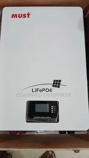 51.2v 200ah (10.24kwh) Must Lithium Ion Phosphate Battery