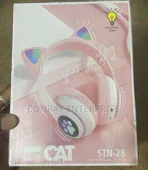 Cat Wireless Headphones.