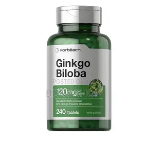 Horbäach Ginkgo Biloba Supplement | 120mg | 240 Tablets |
