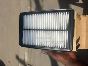 Hyundai Elantra 2017 2018 Air Cleaner / Air Filter