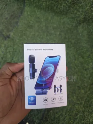 2 in 1 Phone Wireless Mic Type C