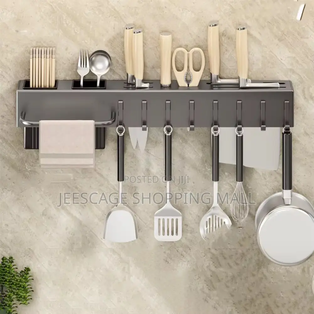 Stainless Steel Wall-Mounted Kitchen Organizer Rack With Hooks