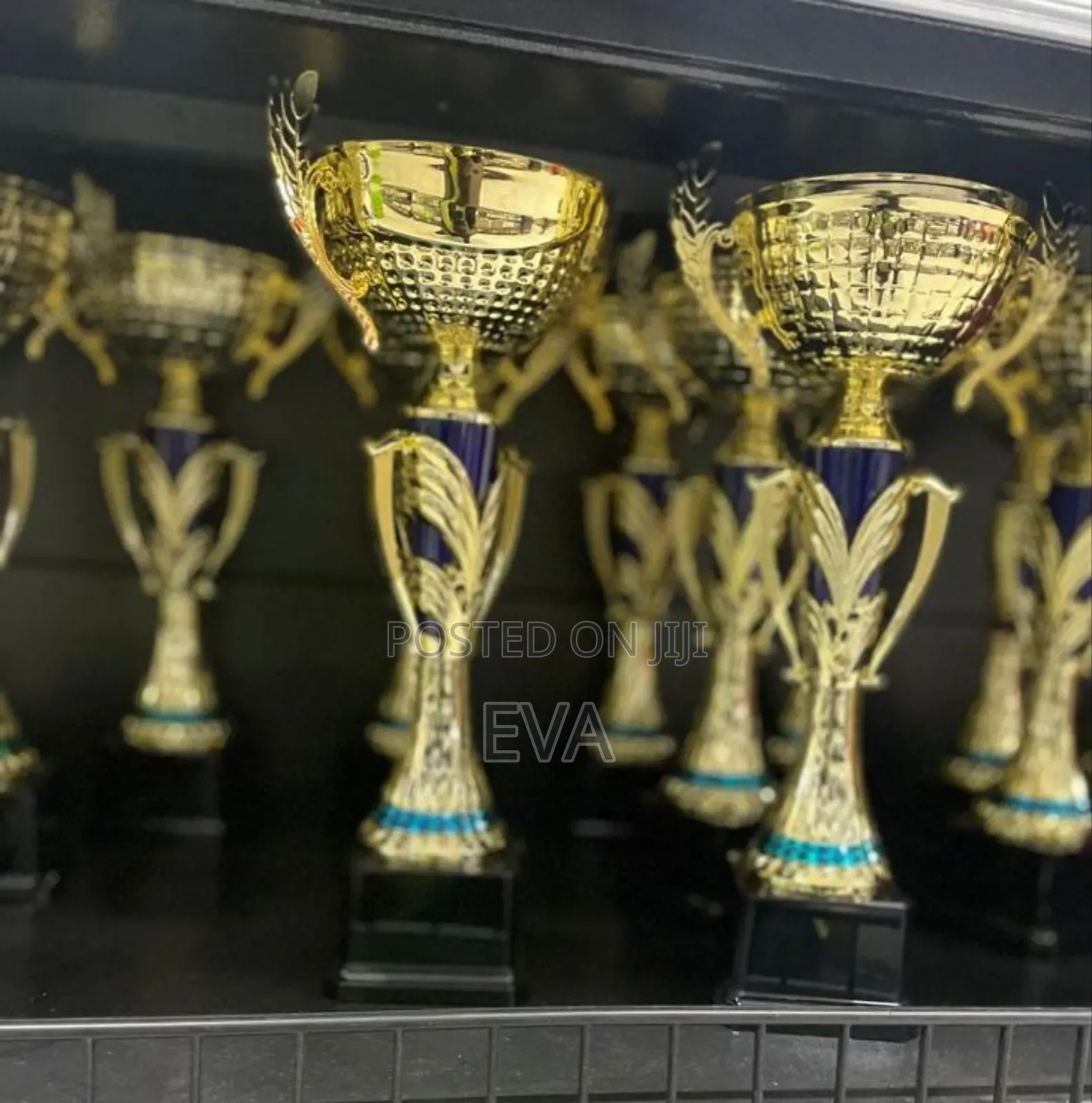 Metal Trophy Cup
