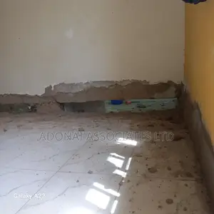 Dampness Repair and Construction