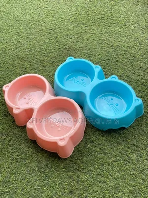 2 in 1 Pet Bolws