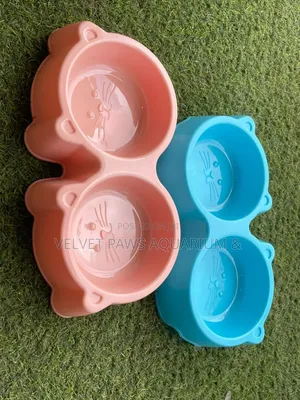 2 in 1 Pet Bolws