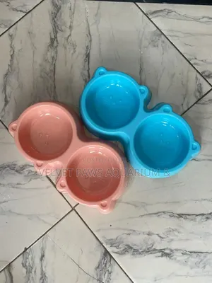 2 in 1 Pet Bolws