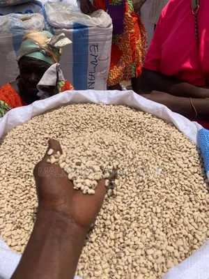 If You Won't a Supplier of Beans, Grounadnut, Soybean Etc. Any Crops