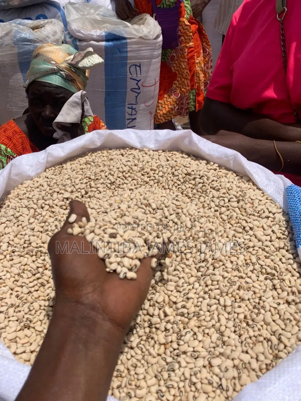 If You Won't a Supplier of Beans, Grounadnut, Soybean Etc. Any Crops