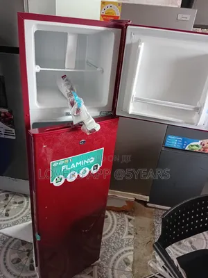Upgrade Your Kitchen With Flamino Fridge