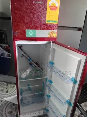 Enjoy Lasting Freshness With Flamino Fridge