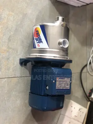 Pedrollo Water Pump