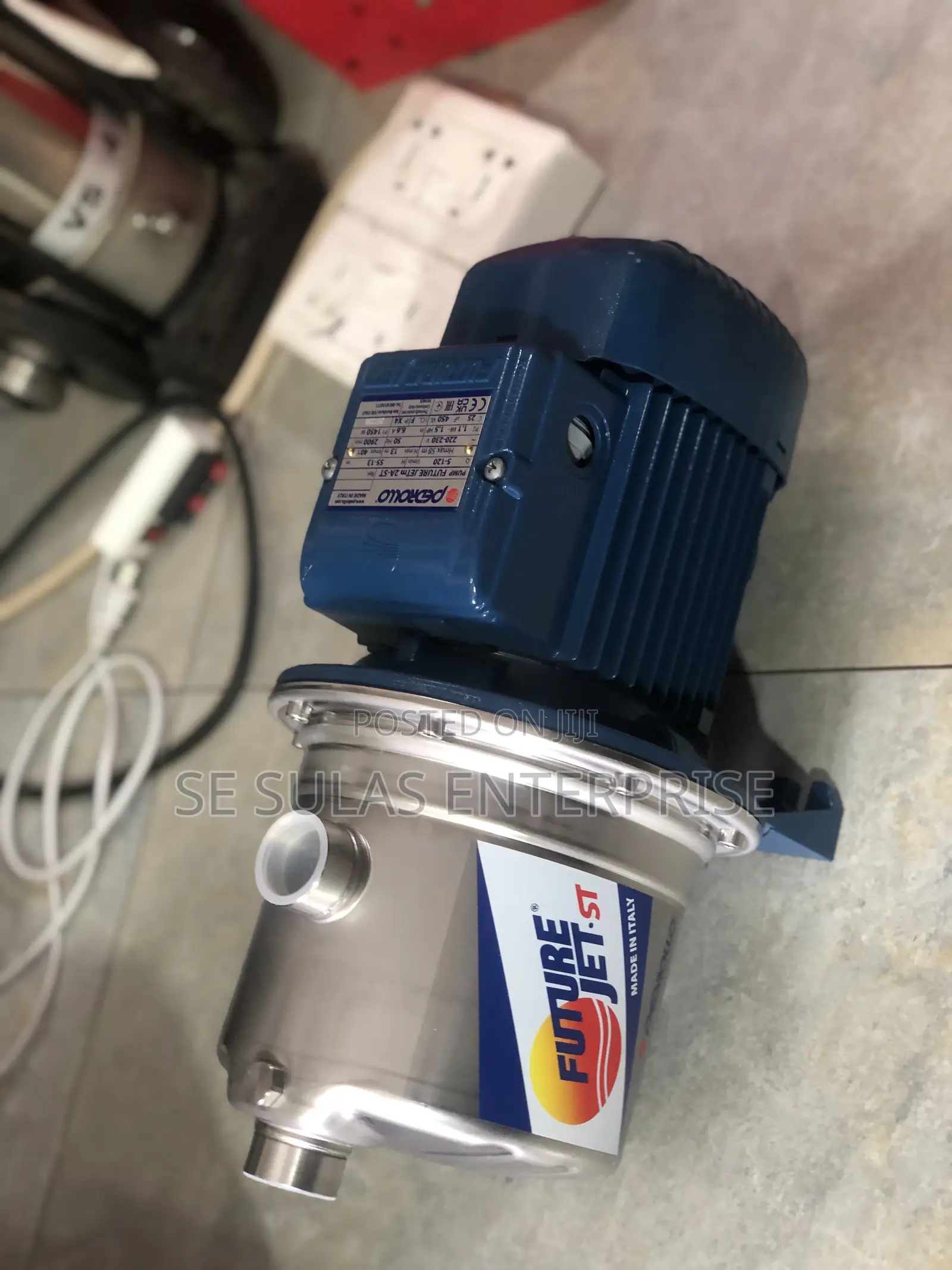 Pedrollo Water Pump