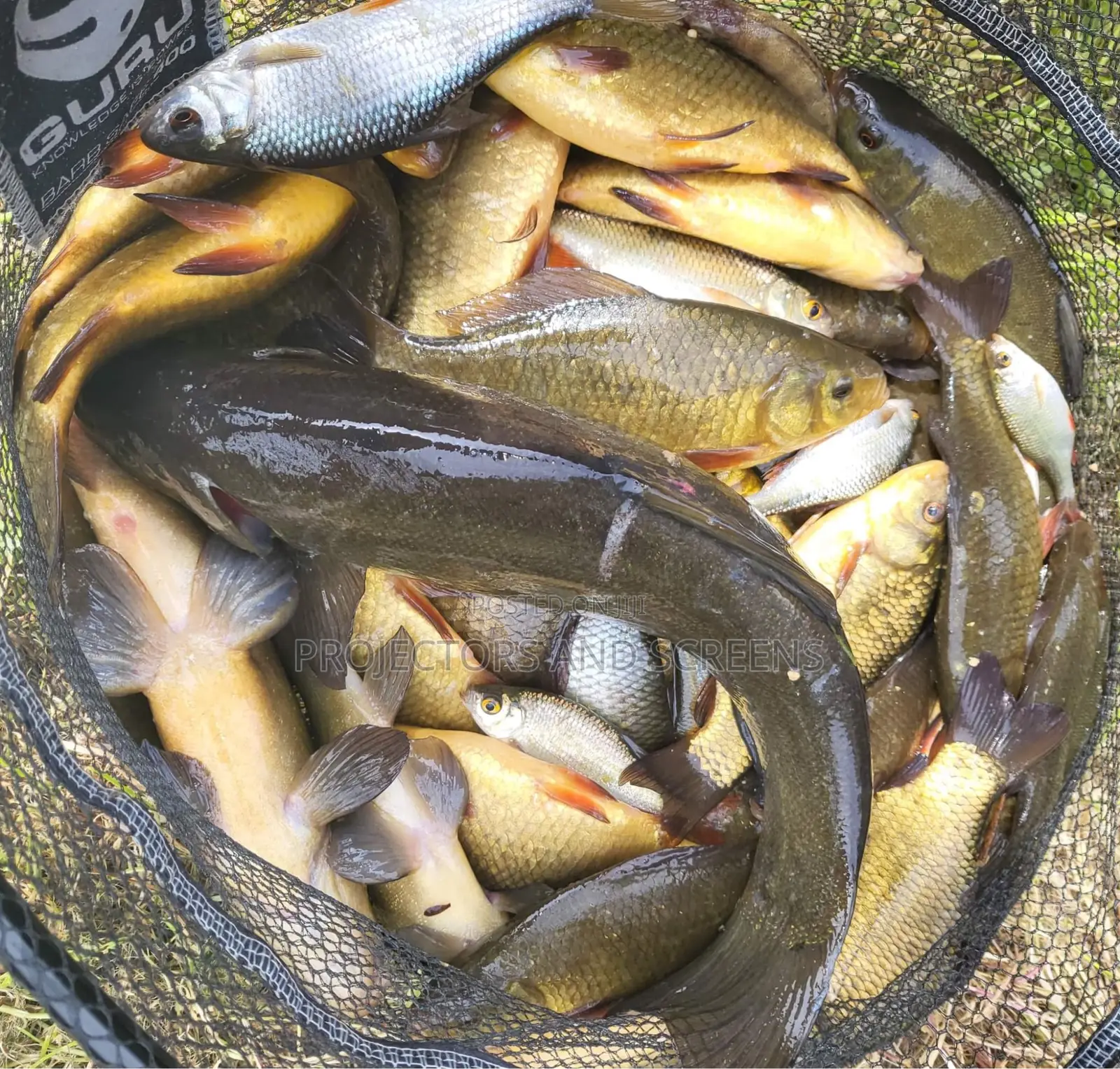 Fishing Kits Full Set With Bag