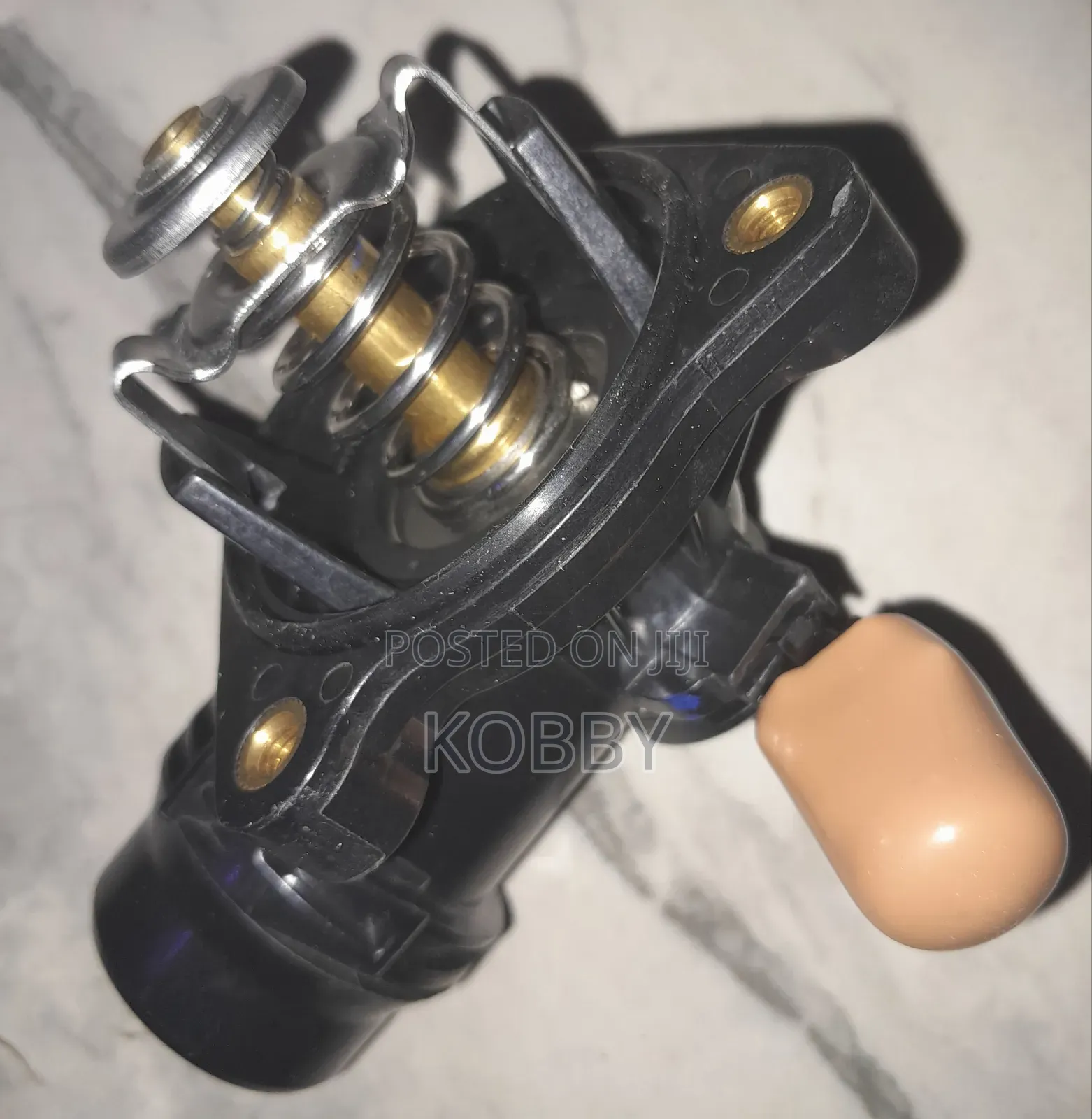 BMW Thermostat