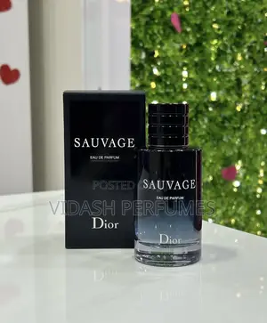 Sauvage Dior Perfume