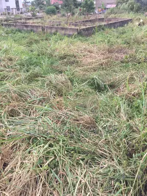 A Plot Of Land For Sale