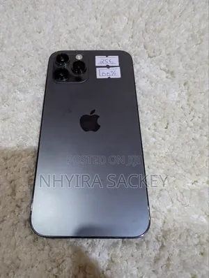 Apple iPhone 12 Pro Max 256 GB Silver
