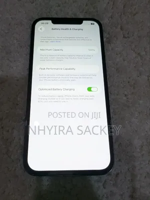 Apple iPhone 12 Pro Max 256 GB Silver