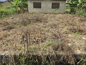 30×30 Land With Two Bedrooms Foundation