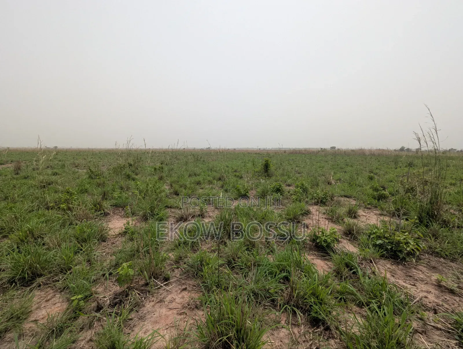 Farm Lands Available