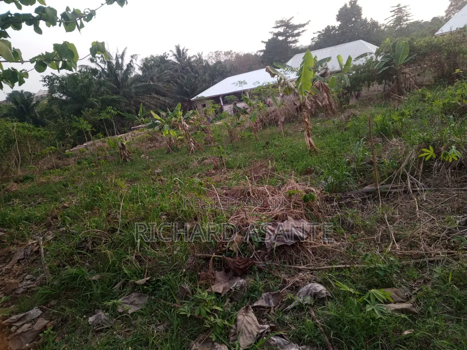 One Plot of Land for Sale at Berekum Chiribaa