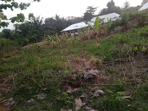 One Plot of Land for Sale at Berekum Chiribaa