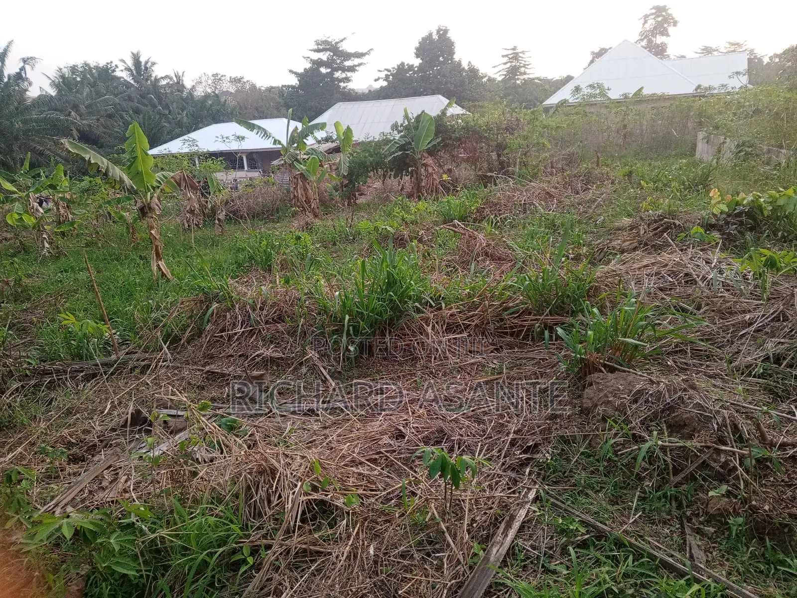 One Plot of Land for Sale at Berekum Chiribaa