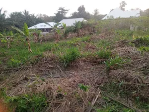 One Plot of Land for Sale at Berekum Chiribaa