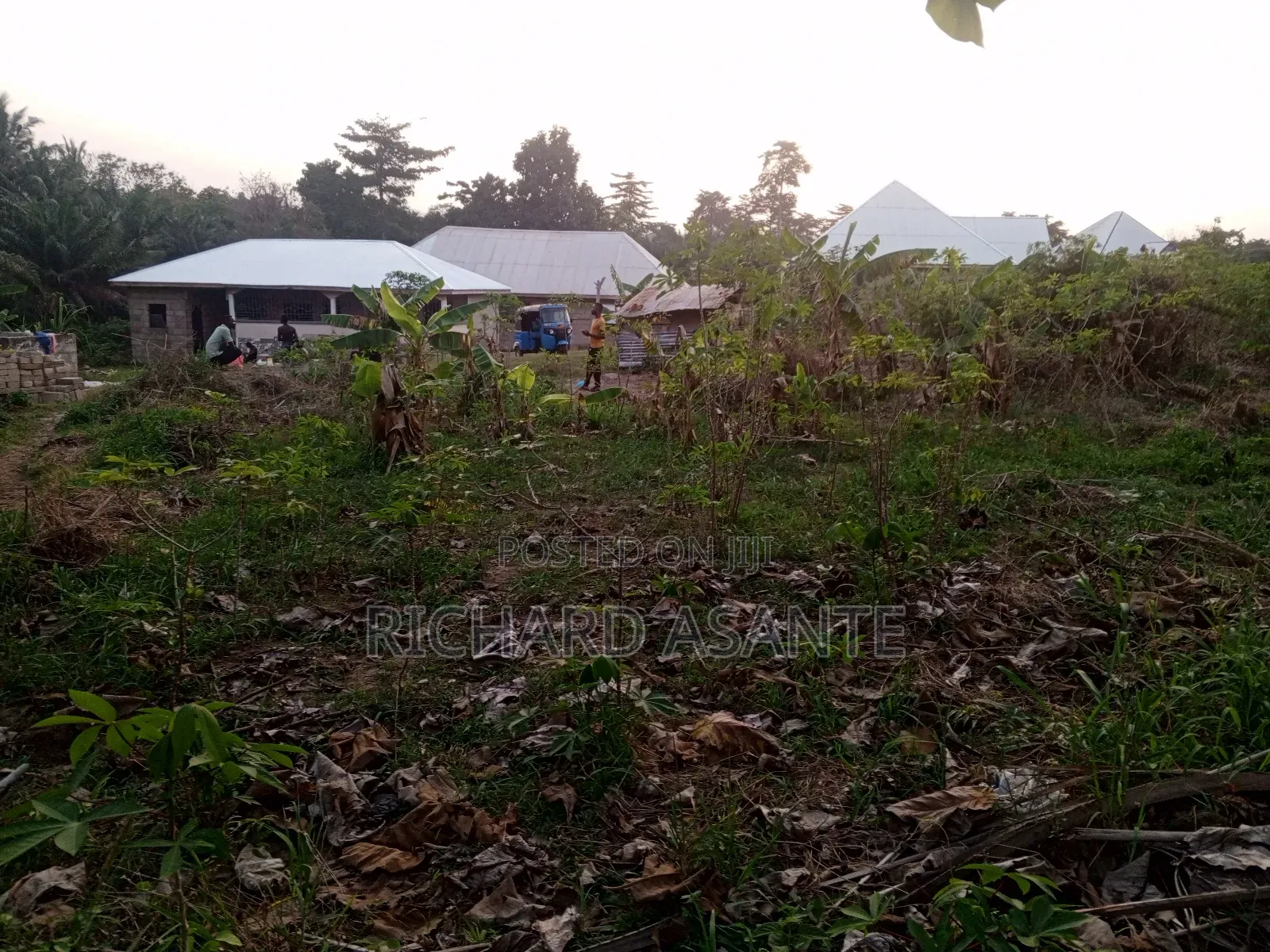 One Plot of Land for Sale at Berekum Chiribaa