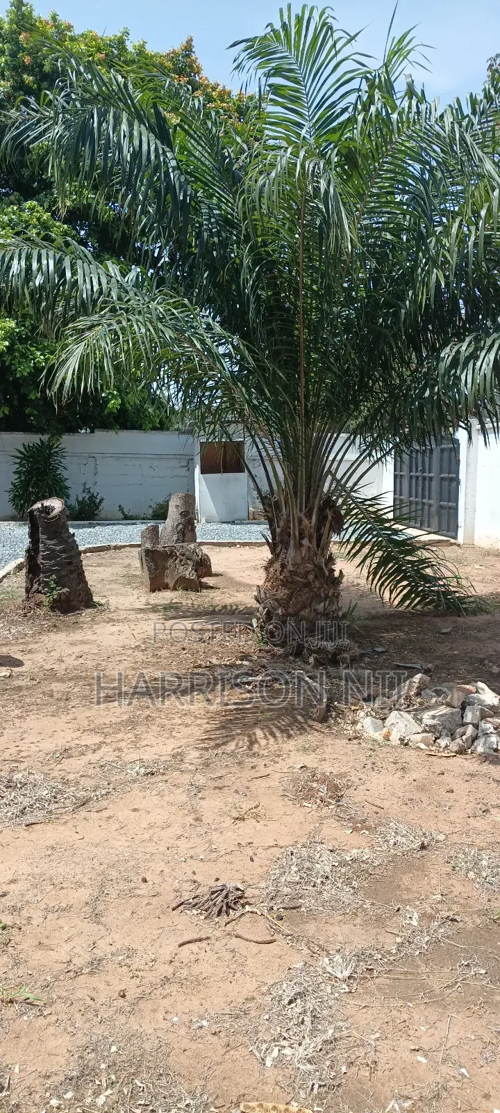 6bdrm Mansion in Ridge for sale