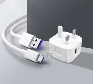 Dual Fast Charger for iPhone