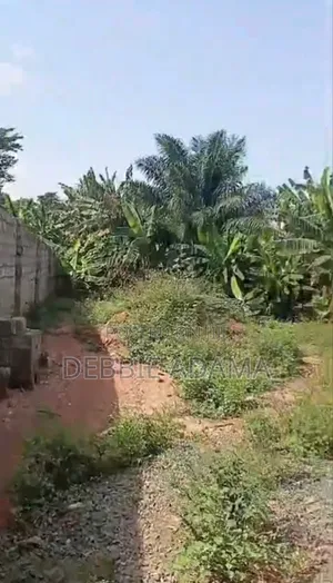 Land For Sell