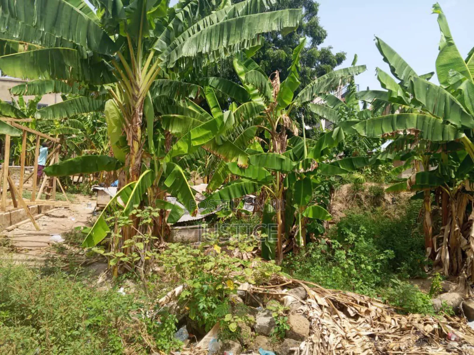 Well Located Half Plot of Land Ayawaso Ablekuma