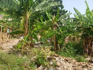 Well Located Half Plot of Land Ayawaso Ablekuma