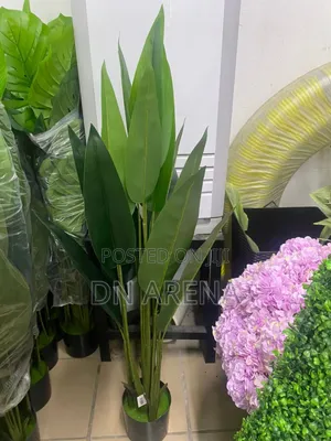 Artificial Banana Plant Size: 120cm High