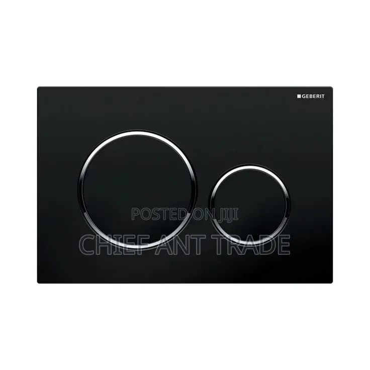 Flush Plate for Wall Concealed Wc Toilet 601. Black