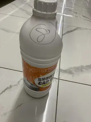 Snow Car Washer
