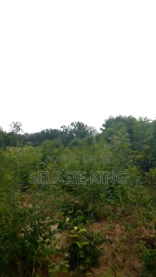 Plots of Land for Sale at Bawaleshie