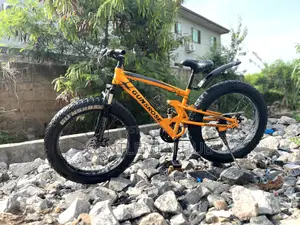 Fat Bicycle